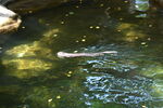 DSC_6930.JPG